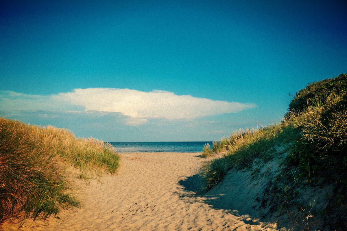 Dänemark - Skagen Dünen
