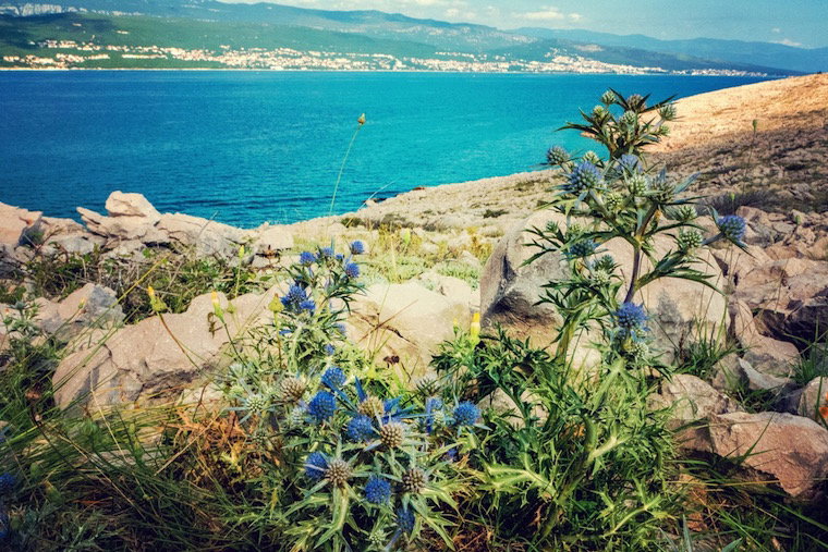 Kroatien - Krk