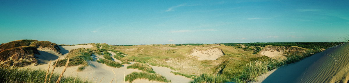 Dänemark - Skagen Dünenlandschaft