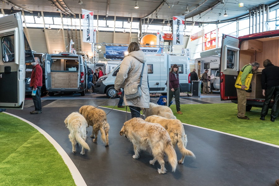 CMT 2016 Impressionen Camperdogs