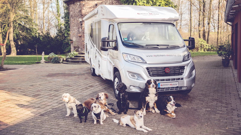 Una autocaravana especial para dueños de perros: el DogLiner