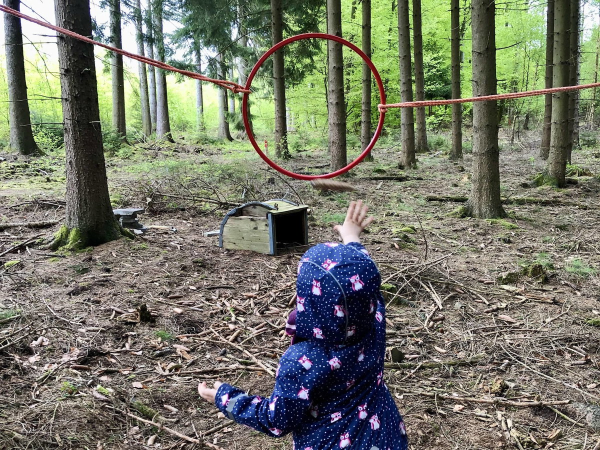 El lanzamiento de piñas de abeto como juego infantil al aire libre